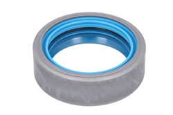 Seal Ring 0750110138ZF