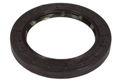 Seal Ring, torque converter 0750111307ZF