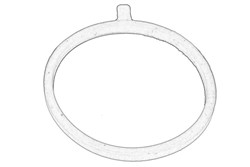 Seal Ring, charge air hose 77 01 071 286_0
