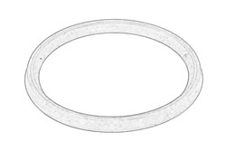 Seal Ring, charge air hose 77 01 071 316_0