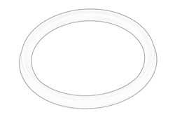 Seal Ring, charge air hose 82 01 089 106_1