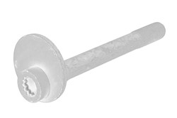 Clamping Screw, ball joint WHT 001 973