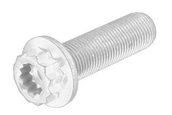 Pulley Bolt WHT 005 322