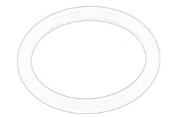 Seal Ring, charger 11 65 7 795 047