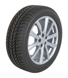 Winter tyre Frigo 2 185/65R14 86T_1