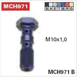 Brake pipe bolt MCH971T M10x1, colour Titanium_1