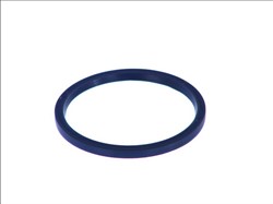 Seal Ring, steering knuckle AUG54879