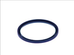 Seal Ring, steering knuckle AUG54879_1