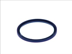 Seal Ring, steering knuckle AUG54879_3