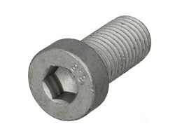 Raw HEX bolts AUGER AUG71861