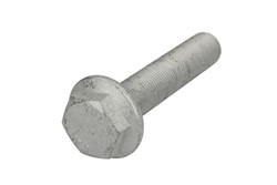 Raw HEX bolts AUGER AUG80230
