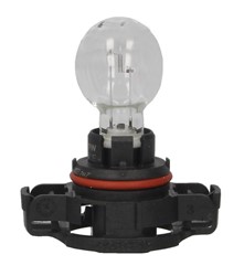 Light bulb PS19W (1 pcs) Standard 12V 19W