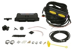 electronical control unit LPG WEG-AMA004419999-403