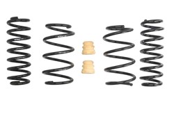 Lowering spring (30/30 mm) Pro-Kit (4 pcs) E10-15-021-01-22 fits AUDI; SEAT; VW