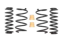 Lowering spring (30/30 mm) Pro-Kit (4 pcs) E10-15-021-02-22 fits AUDI; SEAT; VW