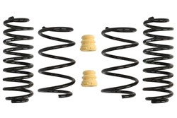 Lowering spring (30/30 mm) Pro-Kit (4 pcs) E10-15-021-04-22 fits AUDI; SEAT; VW