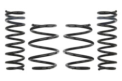 Lowering spring (30/30 mm) Pro-Kit (4 pcs) E10-20-011-03-22 fits BMW 5 (E60)
