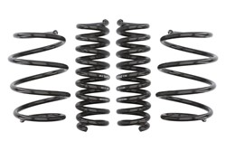 Lowering spring (25-30/25 mm) Pro-Kit (4 pcs) E10-20-031-01-22 fits BMW