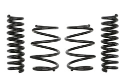 Lowering spring (25-30/25 mm) Pro-Kit (4 pcs) E10-20-031-03-22 fits BMW