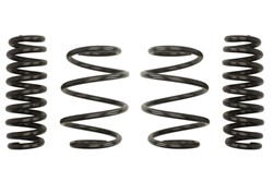 Lowering spring (30/30 mm) Pro-Kit (4 pcs) E10-20-045-02-22 fits BMW