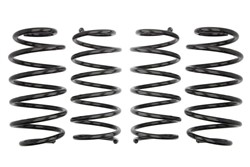 Lowering spring (40/30 mm) Pro-Kit (4 pcs) E10-35-004-02-22 fits FORD MONDEO III