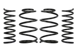 Lowering spring (30/30 mm) Pro-Kit (4 pcs) E10-35-016-02-22 fits FORD FOCUS II