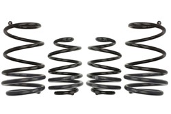Lowering spring (20/25 mm) Pro-Kit (4 pcs) E10-75-008-07-22 fits RENAULT CLIO III