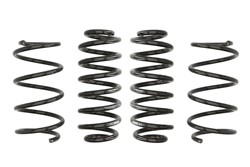 Lowering spring (35/30 mm) Pro-Kit (4 pcs) E10-79-010-02-22 fits SEAT; SKODA; VW
