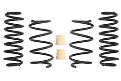 Lowering spring (35/30 mm) Pro-Kit (4 pcs) E10-79-010-04-22 fits SEAT; SKODA; VW
