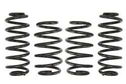 Lowering spring (30/30 mm) Pro-Kit (4 pcs) E10-85-016-04-22 fits VW