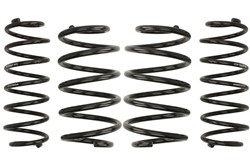 Lowering springs / set EIBACH E10-85-024-02-22