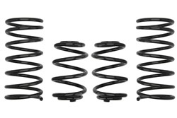 Lowering spring (30-40/30 mm) Pro-Kit (4 pcs) E2010-140 fits BMW 3 (E30)