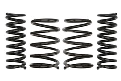 Lowering spring (25/15-20 mm) Pro-Kit (4 pcs) E2022-140 fits BMW 8 (E31)