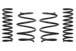 Lowering spring (30/30 mm) Pro-Kit (4 pcs) E2048-140 fits BMW 7 (E38)