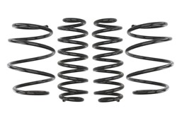 Lowering spring (30/25-30 mm) Pro-Kit (4 pcs) E2061-140 fits BMW 5 (E39)