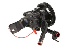 Hydraulic Pump, steering LAU 55.6118_1