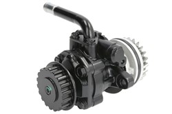 Hydraulic Pump, steering LAU 55.9250_1