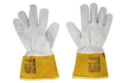 Protective gloves_0