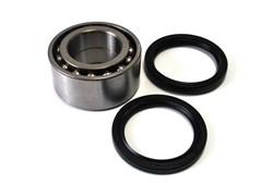 Wheel bearing kit H18009