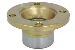 Flange, differential BPIV101371-M6992_1