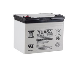 Barošanas akumulatoru baterija YUASA Auxilliary, Backup & Specialist REC36-12 12V 36Ah (196x130x169)_0