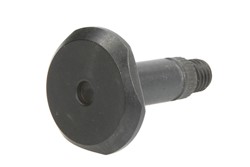 Hand disc brake mechanism pivot CQ CQ760001