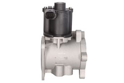 EGR valve NRF 48630_2