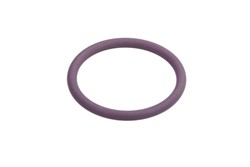 Seal Ring DEL7200-0119