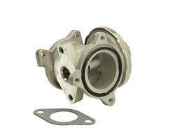 EGR valve AV6011_1