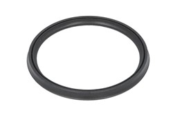 Seal Ring, charge air hose DCB082TT_0
