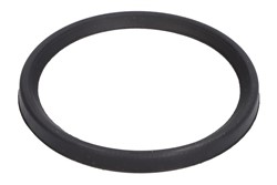 Seal Ring, charge air hose DCC079TT