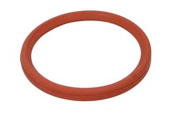 Seal Ring, charge air hose DCR275TT