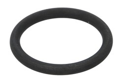 Seal Ring, charge air hose DCR283TT