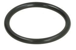 Seal Ring, coolant pipe DWC154TT